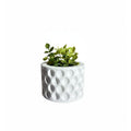Kit Master Decor – Coleção de 6 Vasos com Plantas Artificiais
